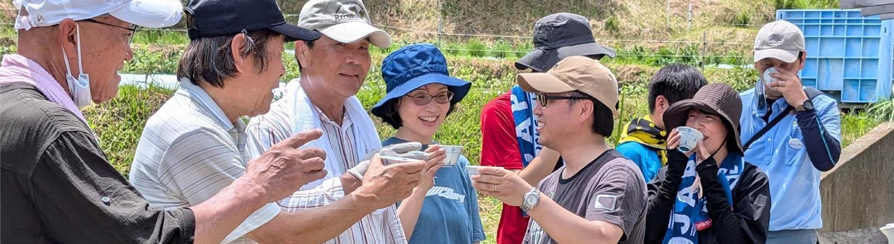 ハンナンテ活動